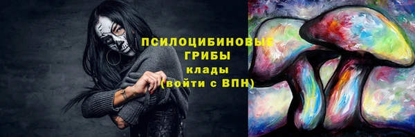 гашик Верхний Тагил