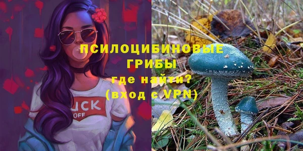 гашик Верхний Тагил