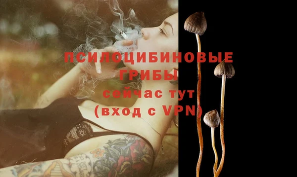 прущая мука Верея