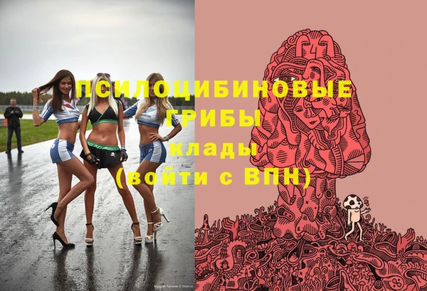 гашик Верхний Тагил