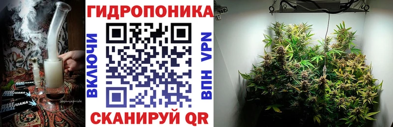 Бошки марихуана Amnesia  Яранск 